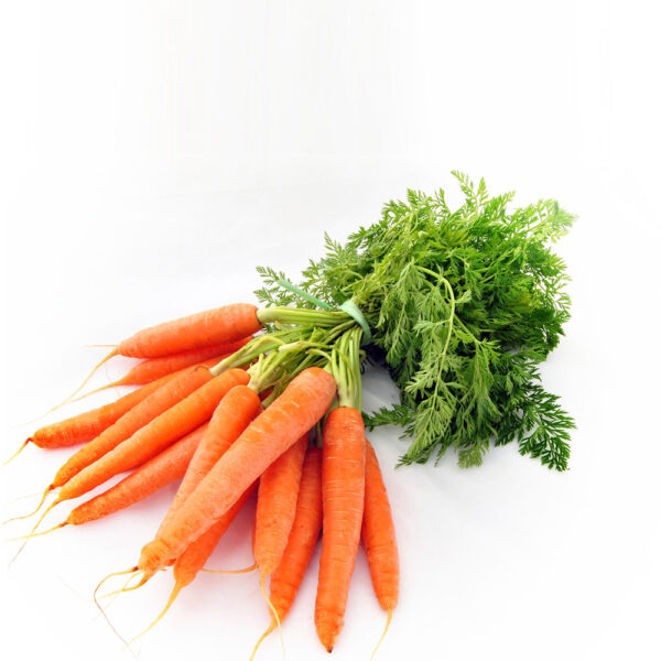carrot carrot
