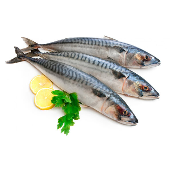 mackerel-three-fish-lemon-parsley-white-background-2880×1800 mackerel-three-fish-lemon-parsley-white-background-2880×1800
