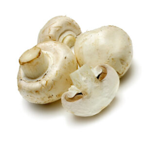 25029-mushroom-picture-material