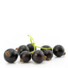 25279-blueberry-high-definition-picture
