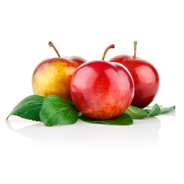 29552-plums 29552-plums