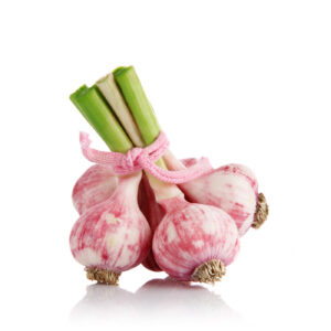 29613-garlic