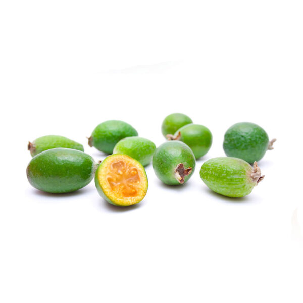 31366-fruit 31366-fruit