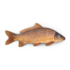 carpfish_2-jpgac916b9f-f56f-4f6a-99b1-2207c49762f8original